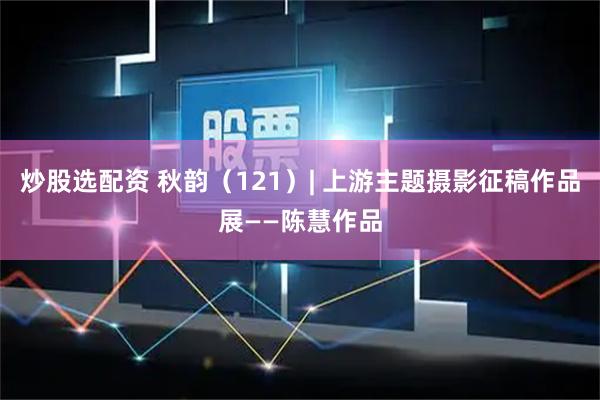 炒股选配资 秋韵（121）| 上游主题摄影征稿作品展——陈慧作品